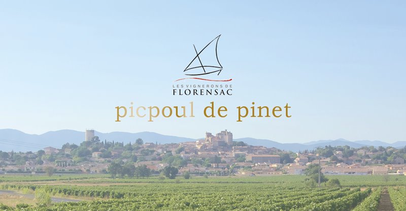 Florensac Picpoul de Pinet